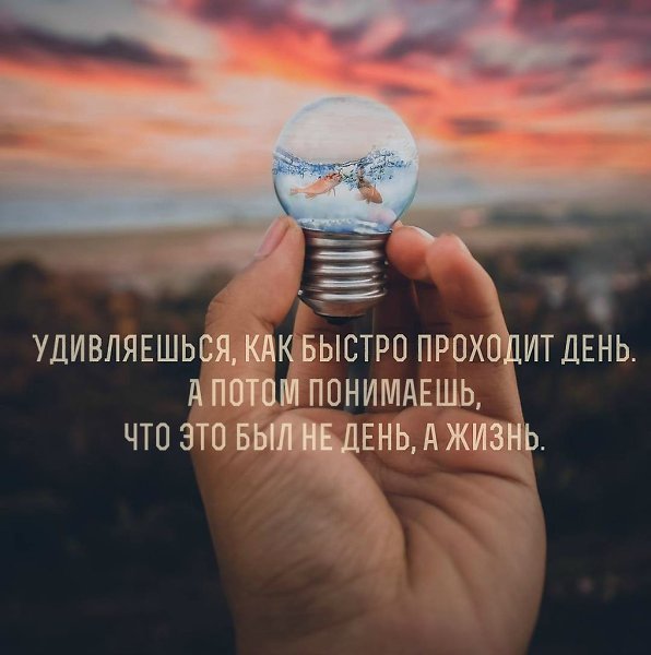  ! - 25  2018  03:51
