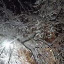 ���� �����, ������, 69 ��� - ��������� 5 ������� 2018 � ������ ������ ��������