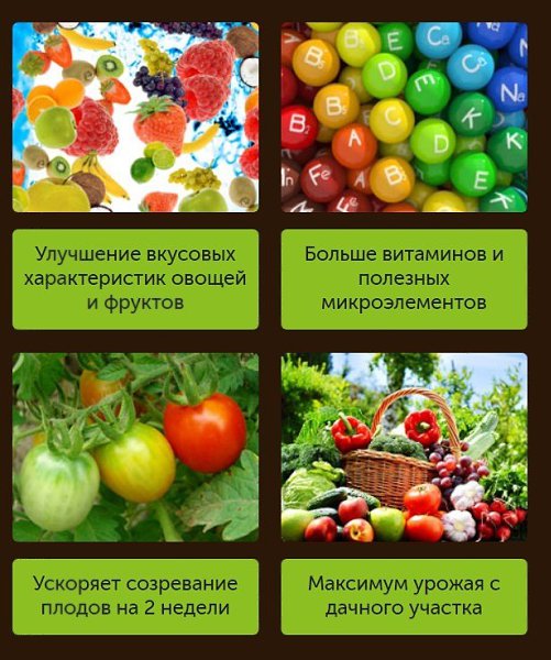 BioGrow Plus – универсальное удобрение Овощи и фрукты растут, как сумасшедшие ... - 2