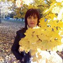 ���� ������ �������, ������� - ��������� 24 ������� 2017 � ������ ���������� ������