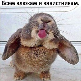 ������, ����, 44 ����