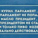 ���� ���, ����, 54 ���� - ��������� 23 ������� 2017 � ������ ���� ����������