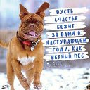 ���� �����, ��������� - ��������� 26 ������� 2017 � ������ ������ ��������