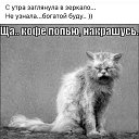 ���� ����, �����-���������, 50 ��� - ��������� 29 ����� 2018 � ������ ���������