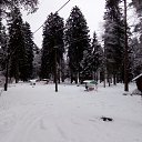 ���� ��������� �������, �����-���������, 62 ���� - ��������� 4 ������ 2018 � ������ ������ ��������