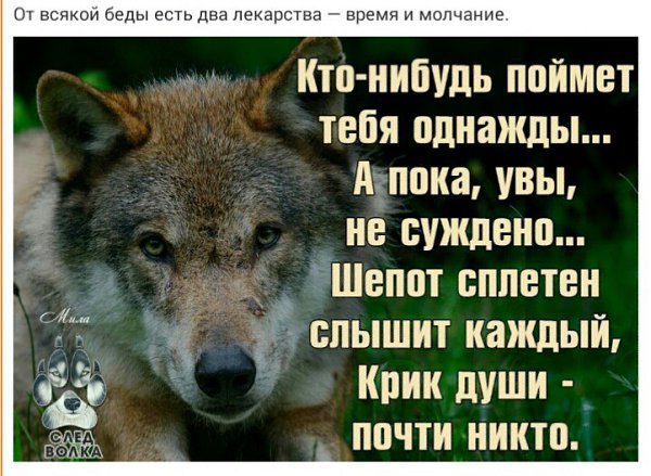 Кому можно доверять в жизни. Кто-нибудь поймет тебя однажды. Кто нибудь тебя поймет однажды а пока. Кто-нибудь поймет тебя однажды а пока увы. Шепот сплетен.