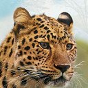 ���� ��������, �������, 60 ��� - ��������� 21 ������ 2018 � ������ ���� ����������