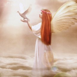 �����,����(, ������, 25 ���