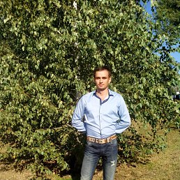 ������, �����������