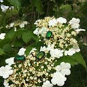 ���� �����, �������, 46 ��� - ��������� 22 ����� 2018 � ������ ���� ����������