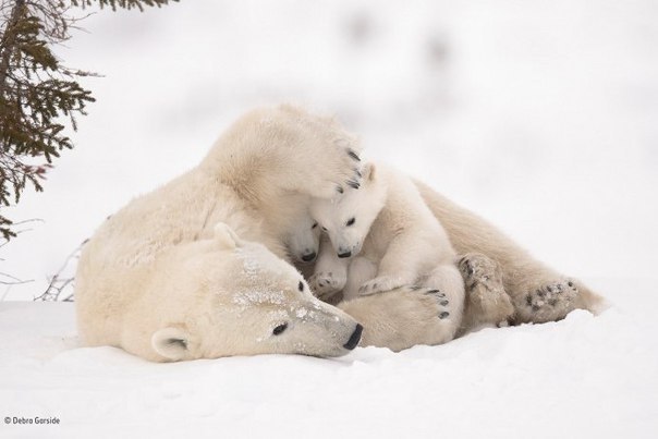 L(oO)k... 🌏 - 9  2018  20:55