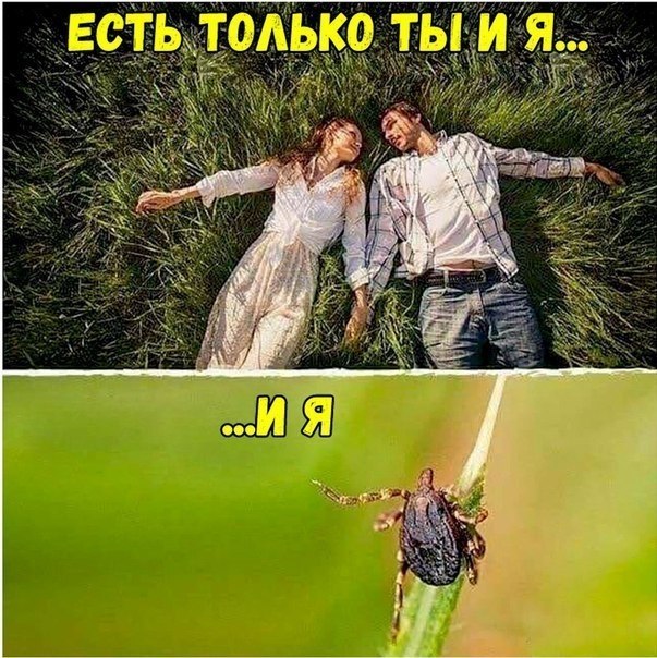    :D - 17  2018  02:49