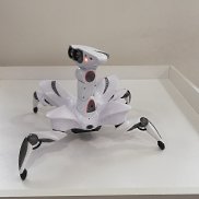 ��������, 35 ���, ������