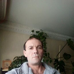 ����, ������, 50 ���