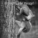 ���� �����, ������ - ��������� 15 ������� 2018 � ������ ���� ����������