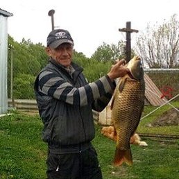 Анатолий, 61 год, Тула Анатолий, 61 год, Тула