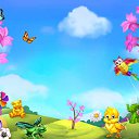 ���� ������, �����-���������, 62 ���� - ��������� 14 ������� 2017 � ������ �������� �������-�������