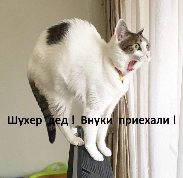    - 29  2018  07:56
