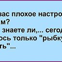 ���� ��������, ������, 56 ��� - ��������� 4 ������� 2017 � ������ ���� ����������