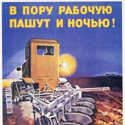 �����, ������