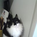 ���� �������, ���������, 54 ���� - ��������� 12 ������� 2018 � ������ ��������Ȼ