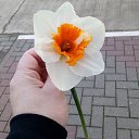 ���� ������, ������ - ��������� 11 ����� 2018 � ������ ���� ����������