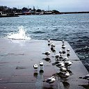 ���� ��������, �����������, 57 ��� - ��������� 2 ������� 2017 � ������ ������ ��������