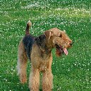 ���� ������, ������, 75 ��� - ��������� 19 ������ 2018 � ������ ���� ���