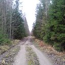 ���� ���, �����-���������, 77 ��� - ��������� 4 ����� 2018 � ������ ����������.�