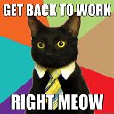���� Right-meow!, �����-���������, 34 ���� - ��������� 22 ������� 2018 � ������ ���� ����������