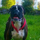 ���� Migel, ������, 38 ��� - ��������� 30 ��� 2018