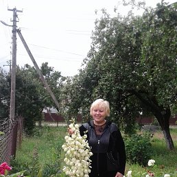 Тетяна, 63, Кузнецовск
