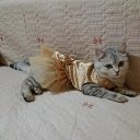 ���� ����, ������� - ��������� 24 ������ 2018 � ������ ���������
