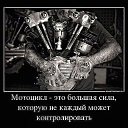 ���� Welles, �������, 48 ��� - ��������� 9 ����� 2018 � ������ ���� ����������
