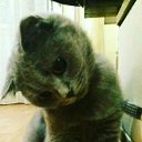 ���� �����, ��������������, 35 ��� - ��������� 24 ������ 2018