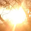 ���� �����, ���� - ��������� 31 ������ 2018 � ������ ���� ����������