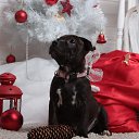 ���� �����, �����-��������� - ��������� 8 ��� 2018 � ������ �:))�