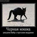 ���� Rigen, ������, 50 ��� - ��������� 13 ������ 2018 � ������ �������� ��������