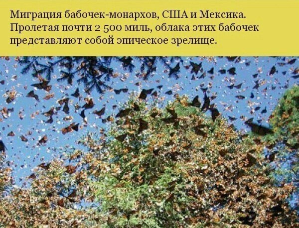 10 невероятных явлений, происходящих на нашей планете - 6