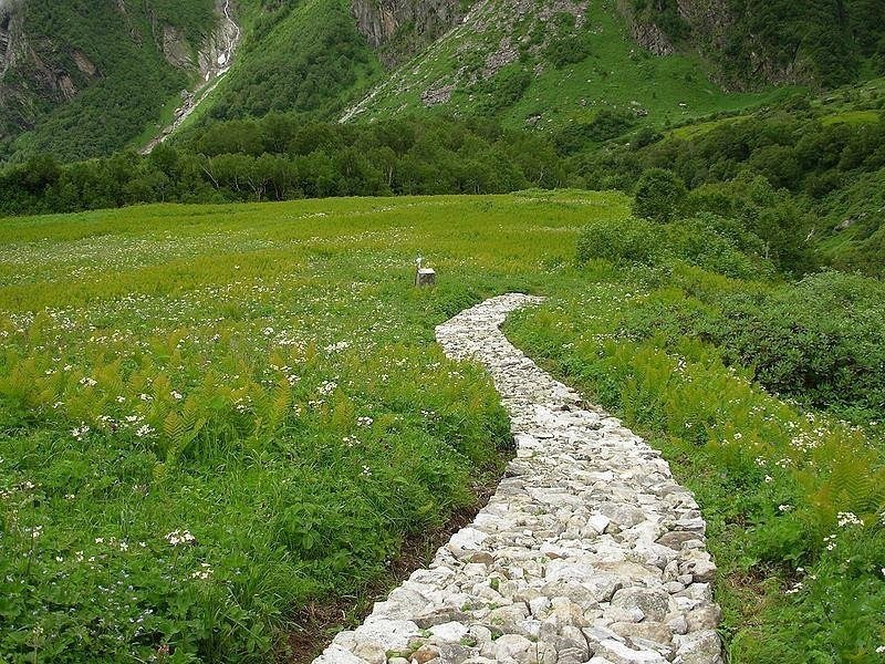   -    .    (Valley of Flowers National ... - 8