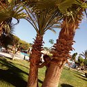 ���� ��������, �����, 55 ��� - ��������� 8 ������� 2018 � ������ ���� ����������