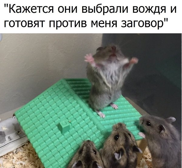   - 1  2018  03:54