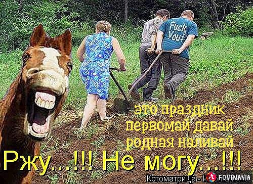 ***Victoria Viktorovna*** - 30 ������ 2018 � 15:32