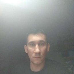 ����� ������, ������, 43 ����