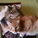 ���� ������, �����, 65 ��� - ��������� 28 ������ 2017 � ������ ���� ����������