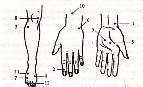 4 точка на теле. Точки энергии на теле человека. Энергетические точки на теле. Меридианы с внешней стороны руки. Точки на руках энергетические энергетические.