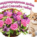 ���� �������, ��������, 71 ��� - ��������� 12 ������ 2018 � ������ ������ ��������