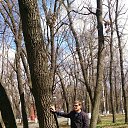  , , 60  -  30  2018    2018  .