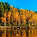 ���� �������, ������-���, 46 ��� - ��������� 26 ����� 2018 � ������ ���� ����������