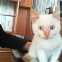 ���� ������, ����, 42 ���� - ��������� 26 ������ 2018 � ������ ���� ����������